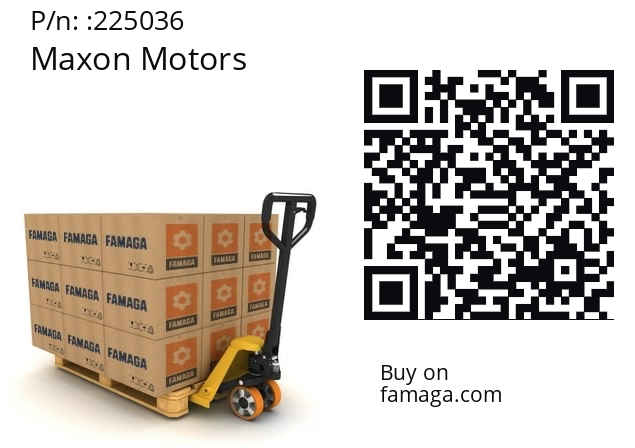   Maxon Motors 225036
