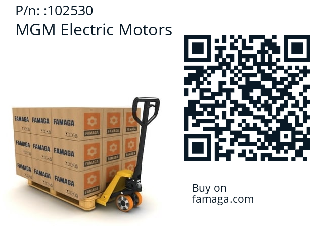   MGM Electric Motors 102530
