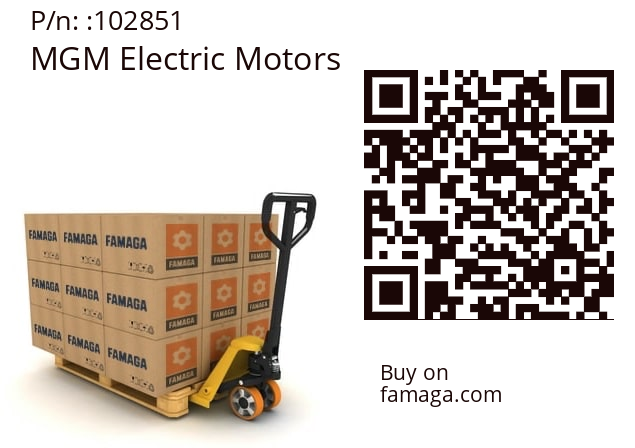   MGM Electric Motors 102851