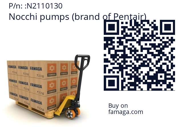   Nocchi pumps (brand of Pentair) N2110130
