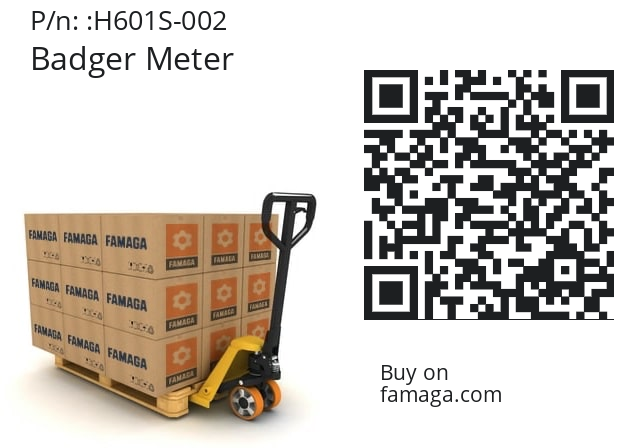   Badger Meter H601S-002
