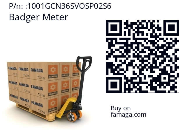   Badger Meter 1001GCN36SVOSP02S6