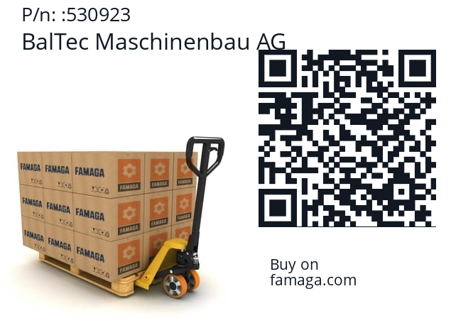   BalTec Maschinenbau AG 530923