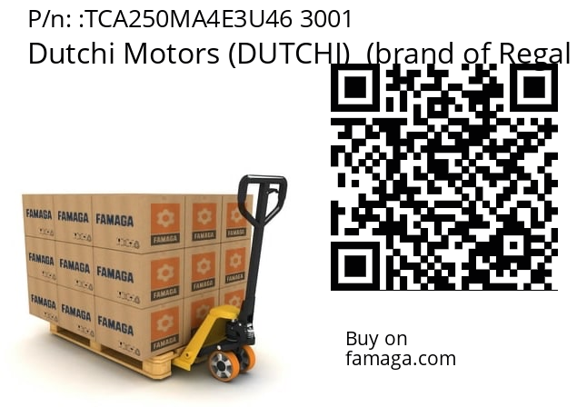   Dutchi Motors (DUTCHI)  (brand of Regal Beloit) TCA250MA4E3U46 3001