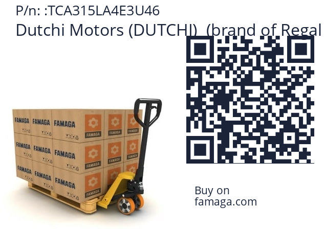  Dutchi Motors (DUTCHI)  (brand of Regal Beloit) TCA315LA4E3U46