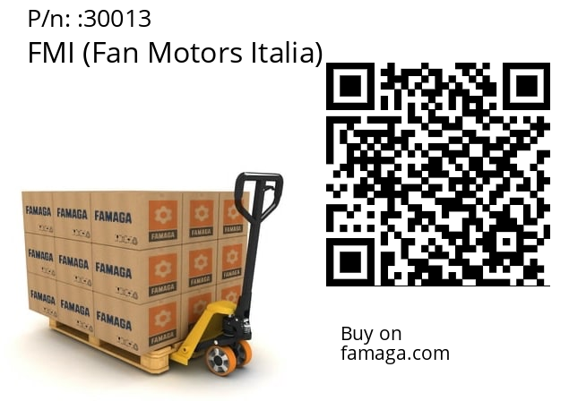   FMI (Fan Motors Italia) 30013