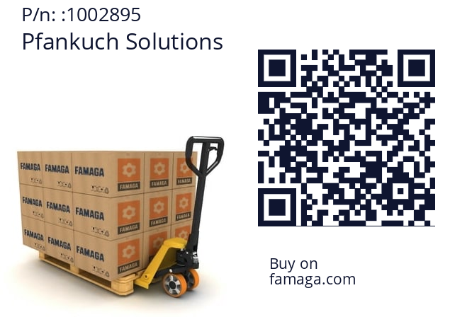   Pfankuch Solutions 1002895