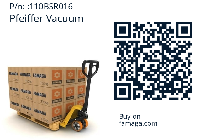   Pfeiffer Vacuum 110BSR016