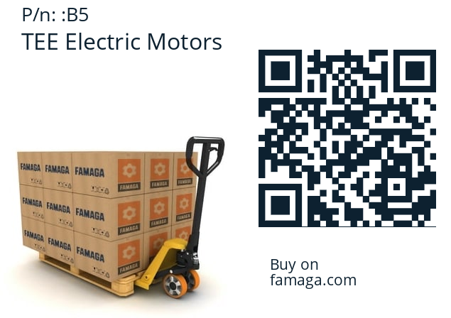   TEE Electric Motors B5