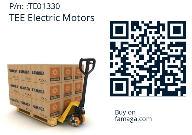   TEE Electric Motors TE01330